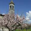  Il campanile della Chiesa di SS. Annunziata