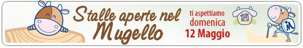 StalleAperteNelMugello 2013