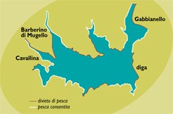 Where to fish in the Bilancino lake