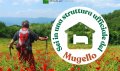 sei in una struttura ufficiale del mugello