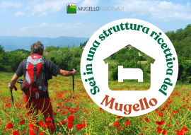 sei in una struttura ricettiva del mugello
