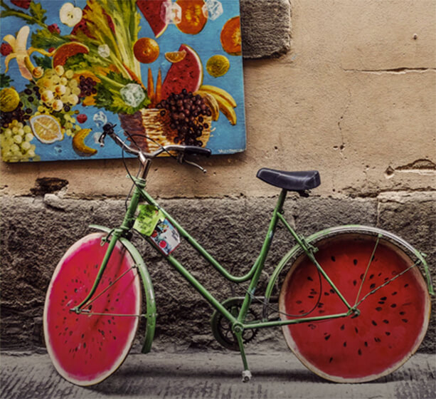 inbike cover