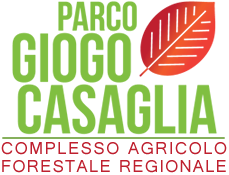 logo giogo casa