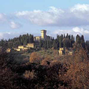 The Trebbio Castle