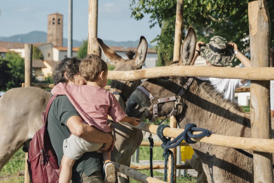 E Fiera Agricola Mugellana 2024 34