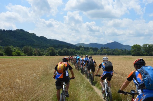 gruppotalon2014