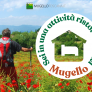 sei in una attività ristorativa del mugello