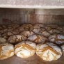 Il pane in forno