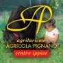 agricola.pignano