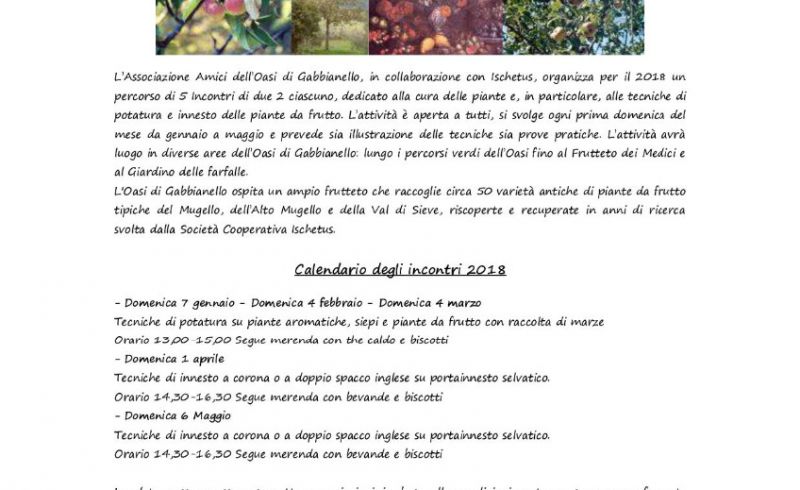 Iniziativa_DIAMOCI UN TAGLIO!_2018-001