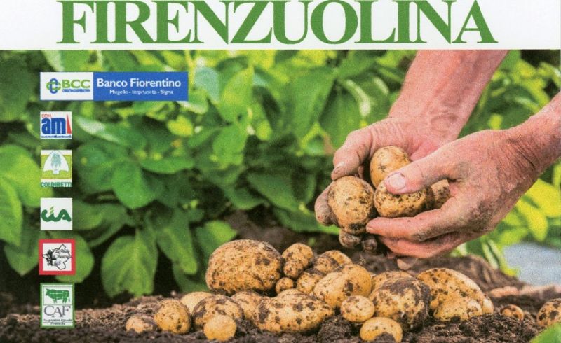 mostra_mercato_patata_2019_depliant