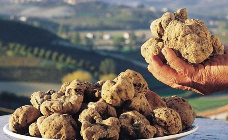 tartufo