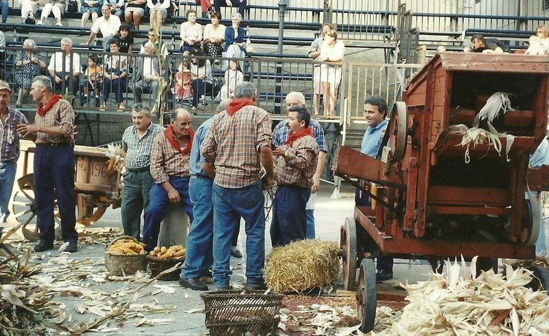 battitura formentone scarperia