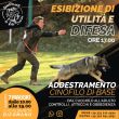 addestramento cinofilo