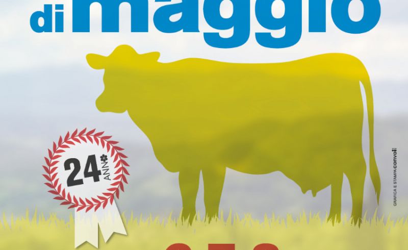 WEB fiera maggio 2022 rev OK def