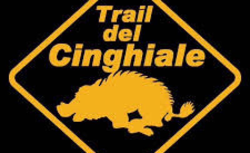traildelcinghiale
