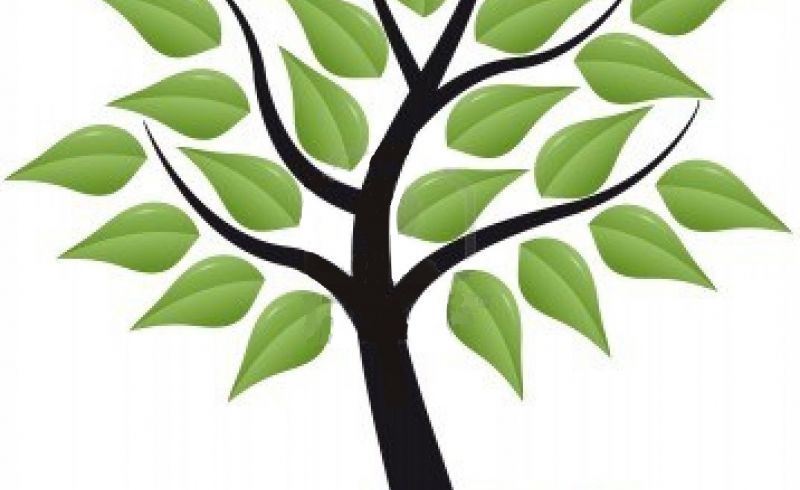 albero-stilizzato-con-foglie