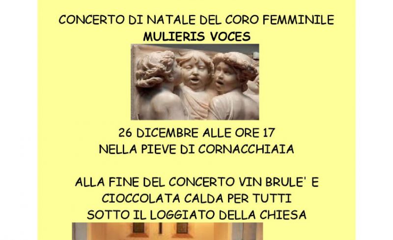 VOLANTINO 26.12.16-001