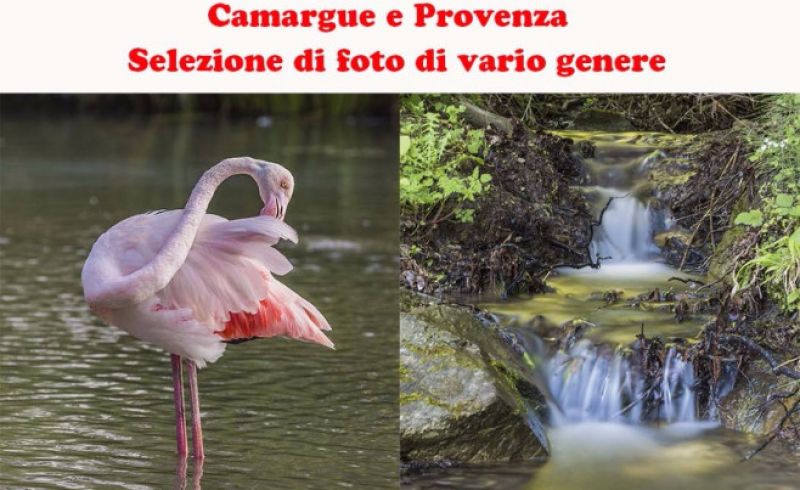 2017 Proiezione Paolo Dallai