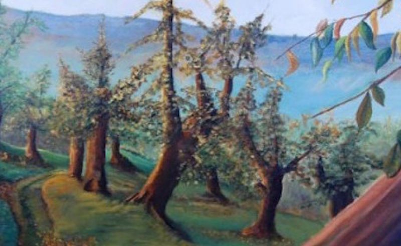 20184__brunoserpillo