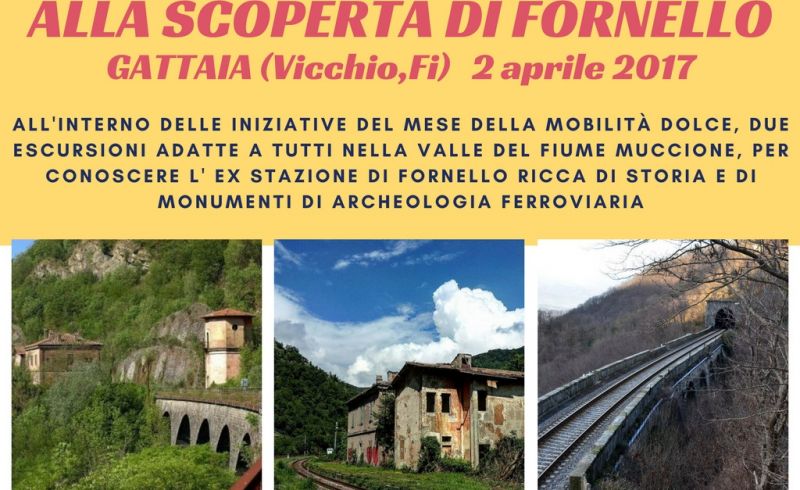 alla scoperta di fornello