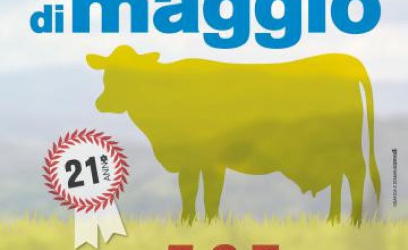 a3_fiera_maggio_2017_rev_0