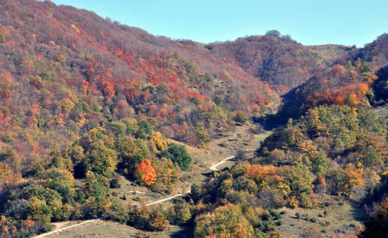 paesaggioaltomugello_0