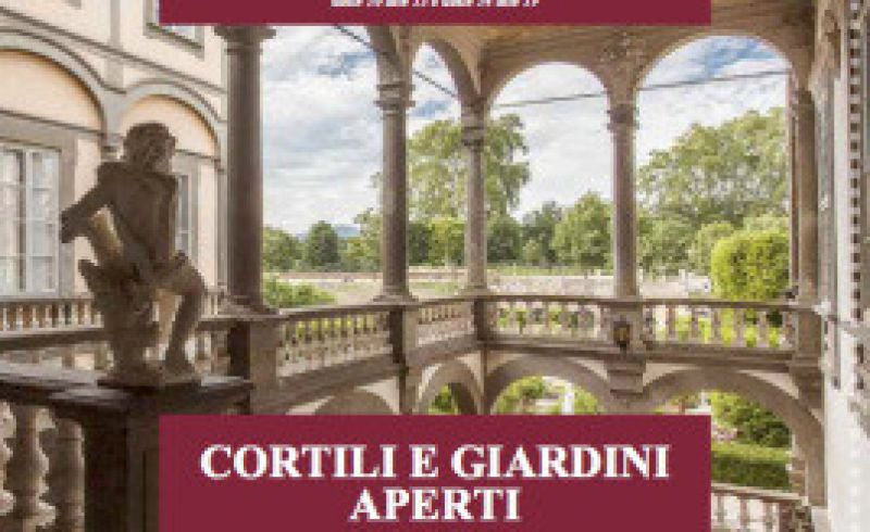 guida-giornata-nazionale-adsi-2017-web