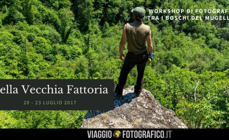 Nella-vecchia-Fattoria-logo-960x540