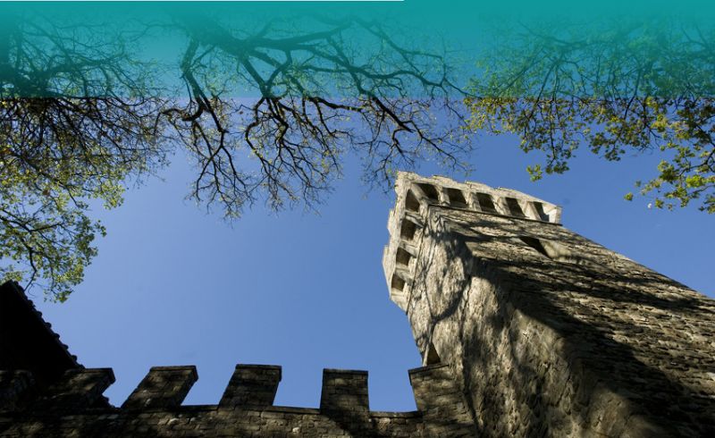 Estate al castello 2