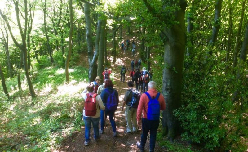 21230811_1415169961852949_5587874256379747285_n