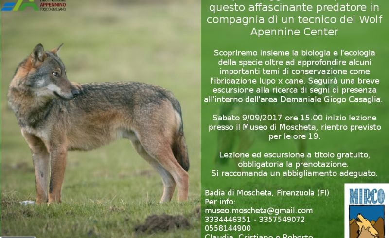 locandina lupi uomini cani