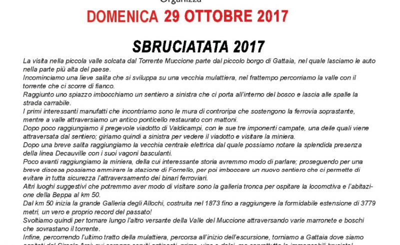 SBRUCIATATA_2017.1-001