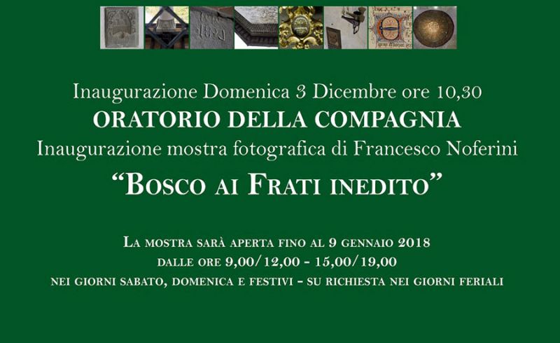 bosco-ai-frati-inedito-francesco-noferini-2017-1