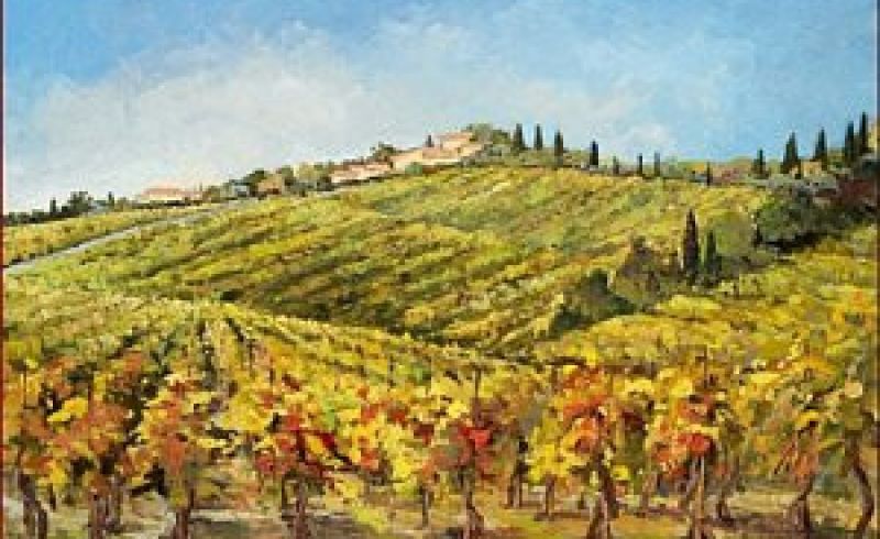 tuscany-vineyard-chianti-italy-cristina-falcini