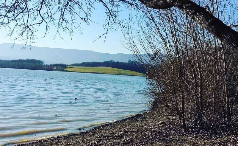 IMG_20180308_203209_346