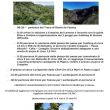 arrigo
