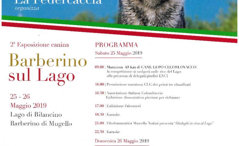 ii_esposizione_canina