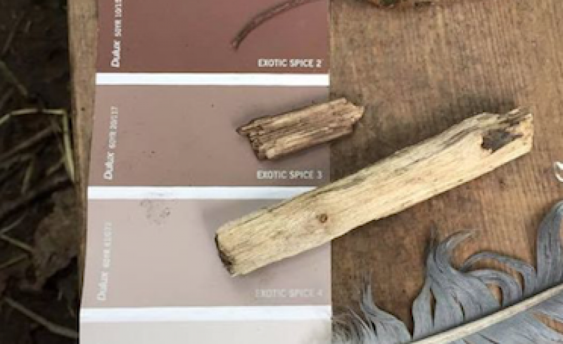 2018-07-29 pantone Remida