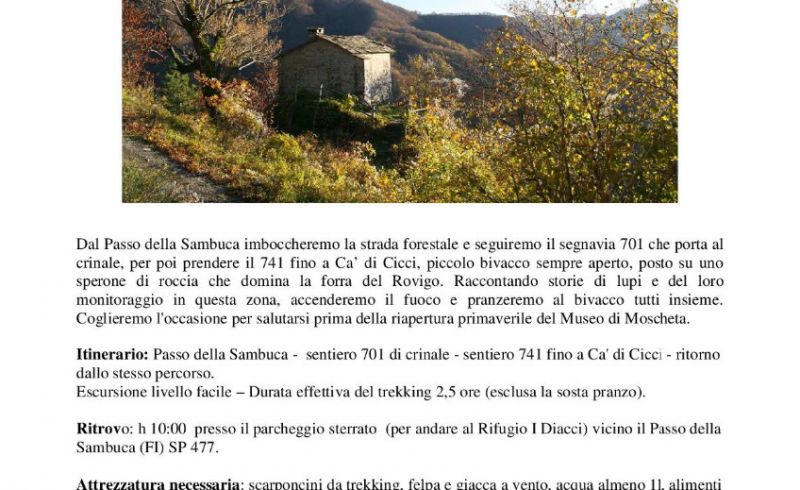 volantino una domenica a ca'di cicci 28.10.2018-001