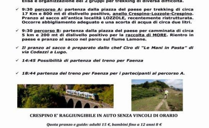 DOMENICA 26 AGOSTO Lozzole e i frutti del sottobosco