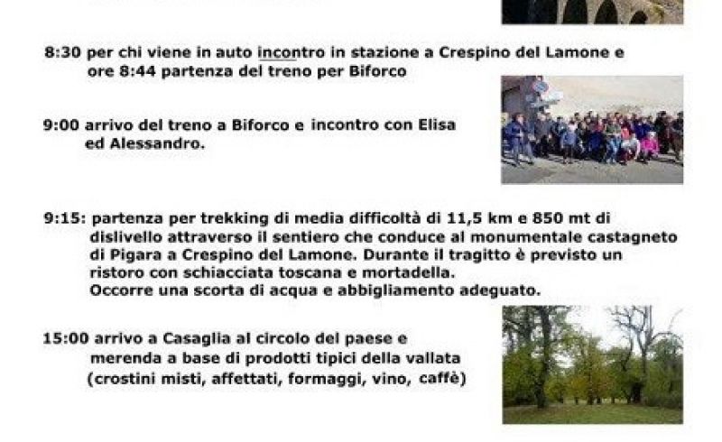 LA GINESTRA_17 MARZO