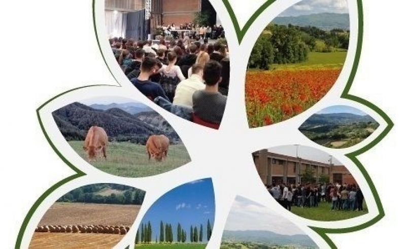 logo_evento_5_giugno_giotto_ulivi_