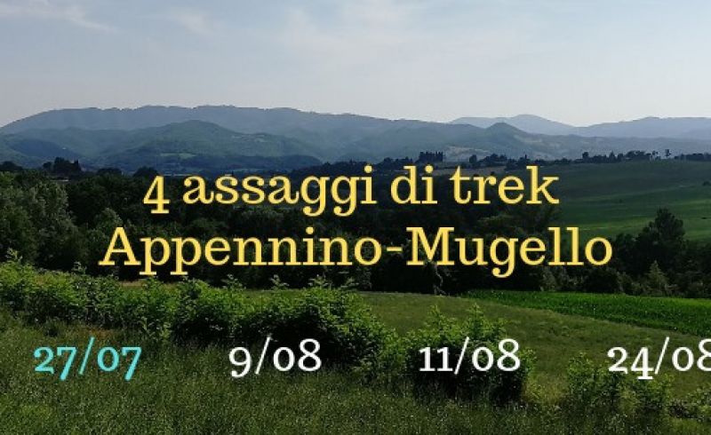 4 assaggi trek