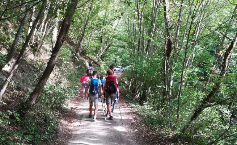 IMG_20190915_161910_resized_20190915_070438076