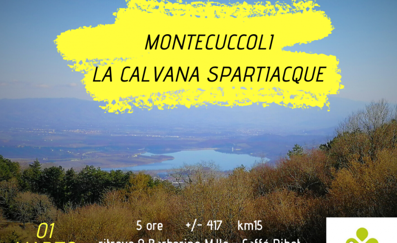 Montecuccoli