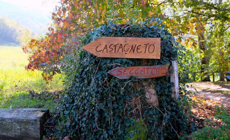 foto relativa alle passeggiate verso i seccatoi ed il castagneto secolare di Moscheta