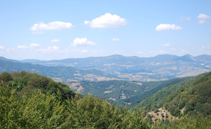 2013 lugliio agosto 242