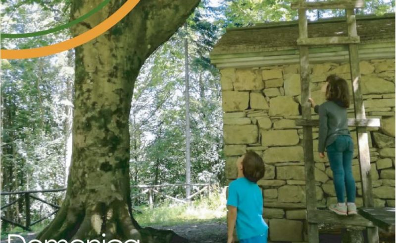 LA VALLE DEL CARBONE 2