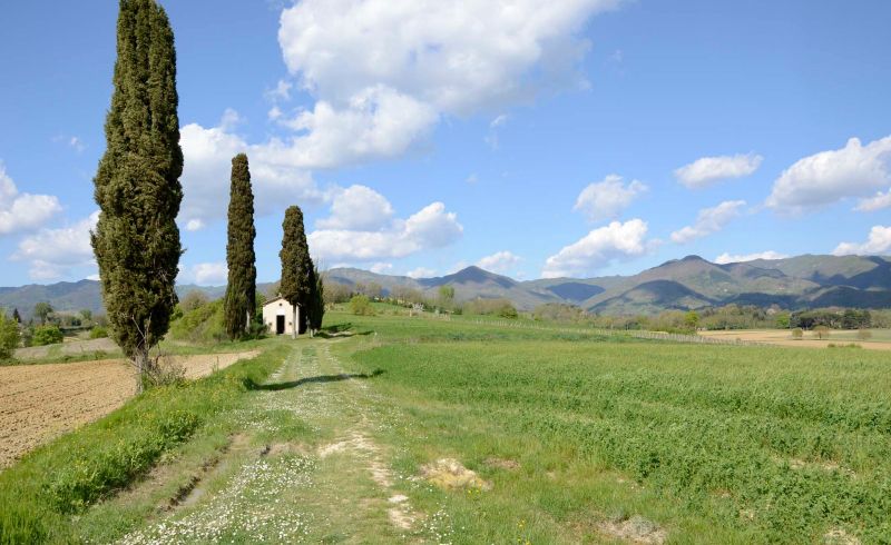 Vicchio 1Cappellina della Bruna